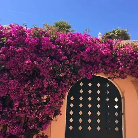 Bela Nova Acacias 22 Luz